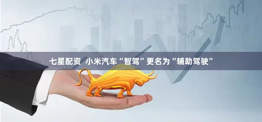 七星配资  小米汽车“智驾”更名为“辅助驾驶”