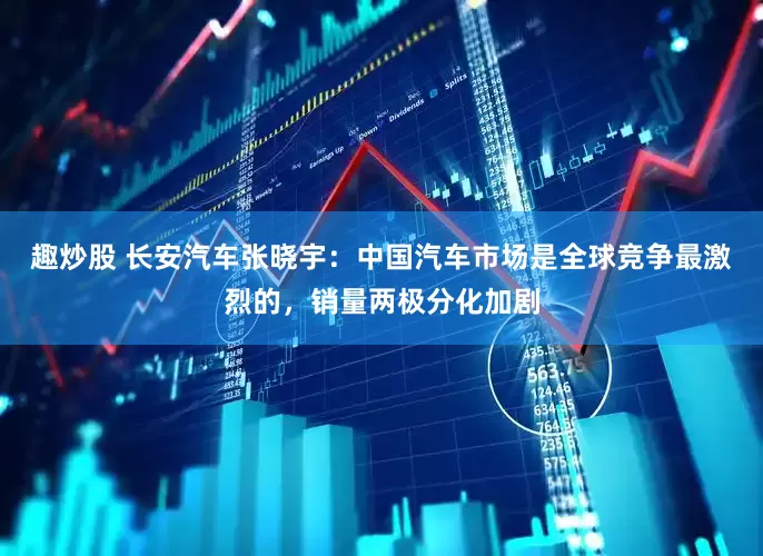 趣炒股 长安汽车张晓宇：中国汽车市场是全球竞争最激烈的，销量两极分化加剧