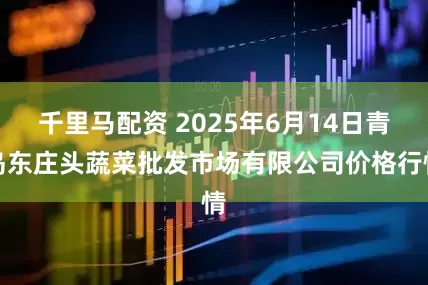 千里马配资 2025年6月14日青岛东庄头蔬菜批发市场有限公司价格行情
